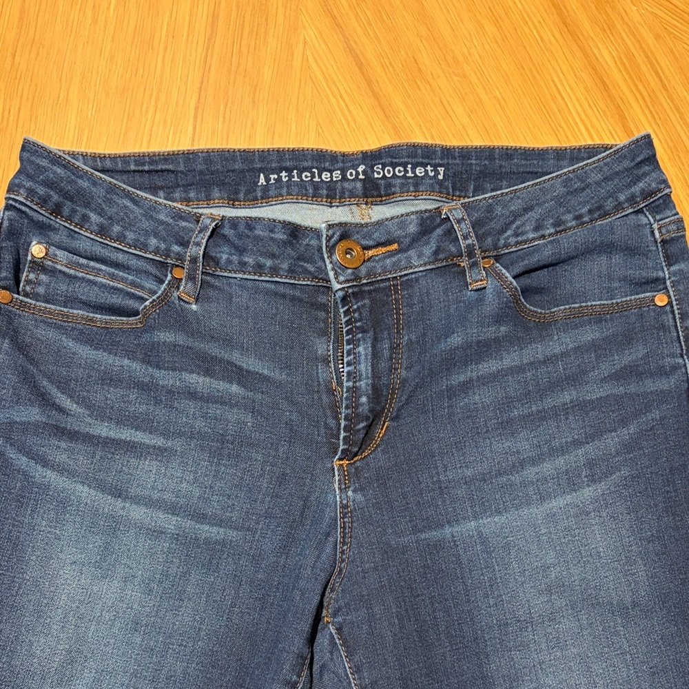 Articles of Society Indigo Skinny Jeans